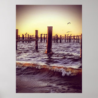 ペリカン湾 ポスター