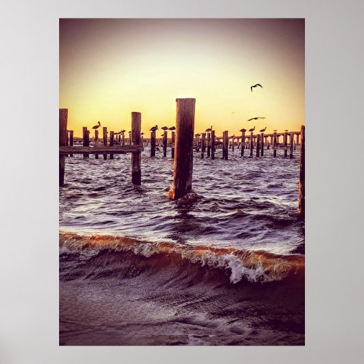 ペリカン湾 ポスター (正面)