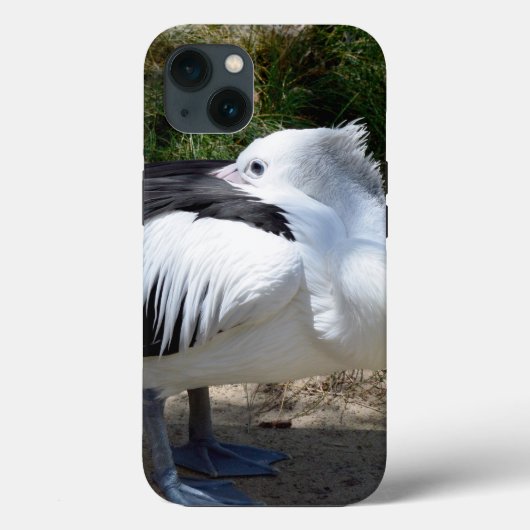 ペリカン猫昼寝、iPhone 13ケース Case-Mate iPhoneケース (裏面)