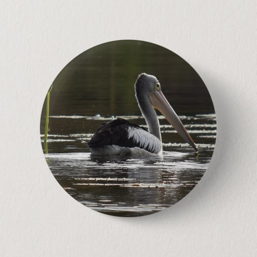 ペリカン田園クイーンズランドオーストラリア 缶バッジ (正面)