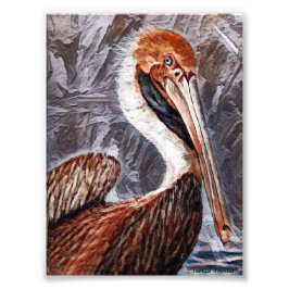 ペリカン略歴 フォトプリント           