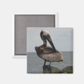 ペリカン磁石 マグネット (正面/裏面)