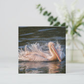 ペリカン運動 (スタンド正面)