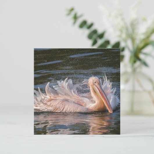 ペリカン運動 (スタンド正面)