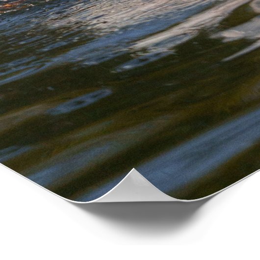 ペリカン運動 ポスター (角)