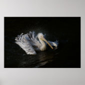 ペリカン運動 ポスター (正面)