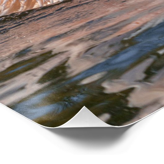 ペリカン運動 ポスター (コーナー)