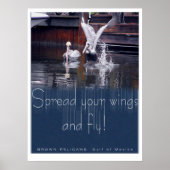 ペリカン離陸 ポスター (正面)