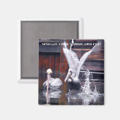 ペリカン離陸 マグネット (正面/裏面)