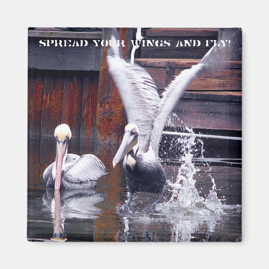 ペリカン離陸 マグネット (正面)