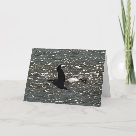 ペリカン飛んでいるオーバーシュマーリング湖バファ カード (正面)