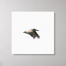 ペリカン飛行 |フィートフロリダ州マイヤーズ | 24x24キャンバス
