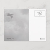 ペリカン飛行 ポストカード (裏面)