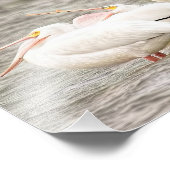 ペリカン魚釣り3体 フォトプリント            (角)