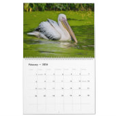 ペリカン12か月 カレンダー (2月 2026)