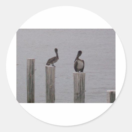 ペリカン3 ラウンドシール (正面)