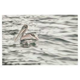 ペリカン・イン・ウォーター メタルプリント