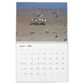 ペリカン カレンダー (3月 2027)