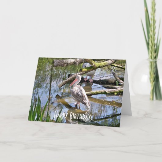 ペリカン カード (正面)