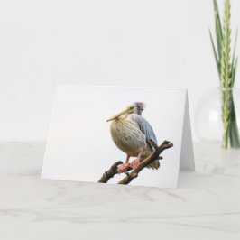 ペリカン、タンザニア カード