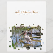 ペリカン チラシ (正面)