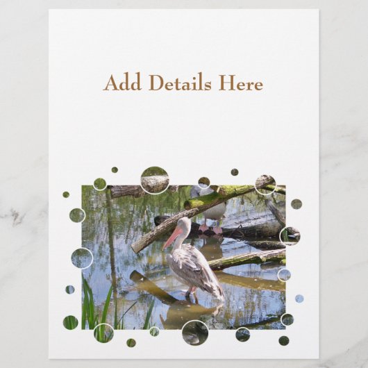 ペリカン チラシ (正面)