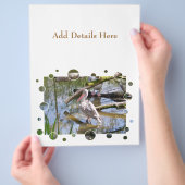 ペリカン チラシ (手)