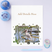 ペリカン チラシ (シングル)