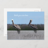 ペリカン(テキストをカスタマイズ可能) ポストカード (正面/裏面)