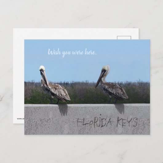 ペリカン(テキストをカスタマイズ可能) ポストカード (正面/裏面)