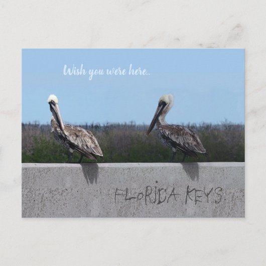 ペリカン(テキストをカスタマイズ可能) ポストカード (正面)