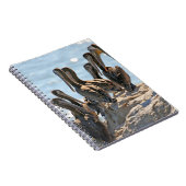 ペリカン ノートブック (右側)