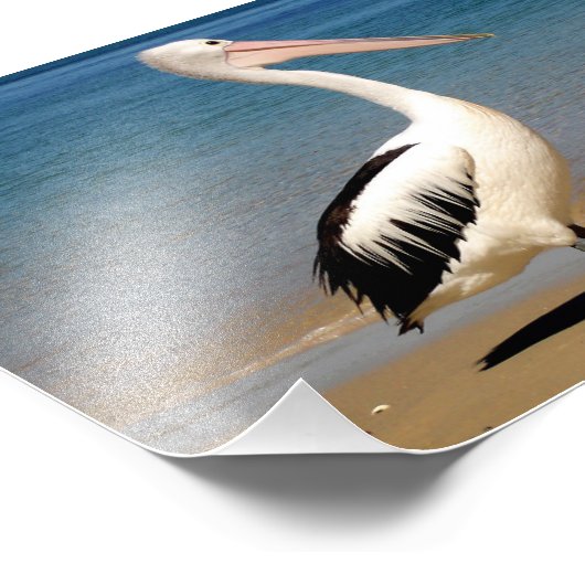 ペリカン フォトプリント            (角)