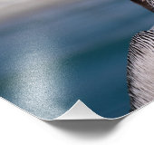 ペリカン フォトプリント            (角)