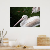 ペリカン ポスター (キッチン)