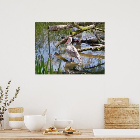 ペリカン ポスター (キッチン)