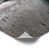 ペリカン ポスター (角)