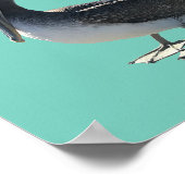 ペリカン ポスター (角)