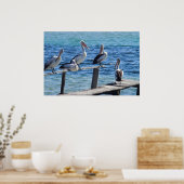 ペリカン ポスター (キッチン)