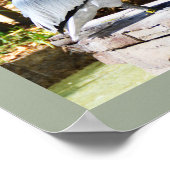 ペリカン ポスター (角)