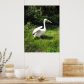 ペリカン ポスター (キッチン)