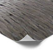 ペリカン ポスター (角)