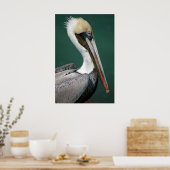 ペリカン ポスター (キッチン)