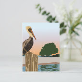 ペリカン ポストカード (スタンド正面)