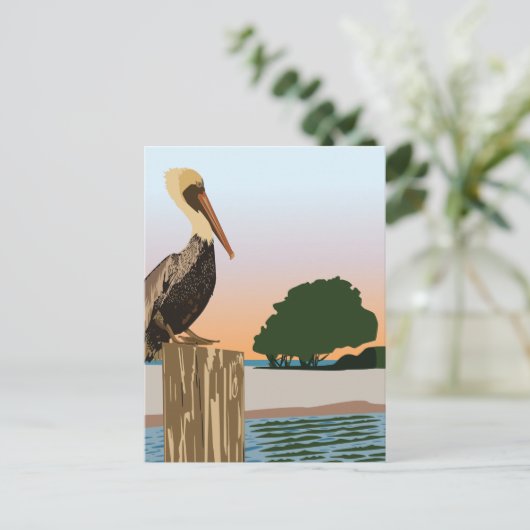 ペリカン ポストカード (スタンド正面)