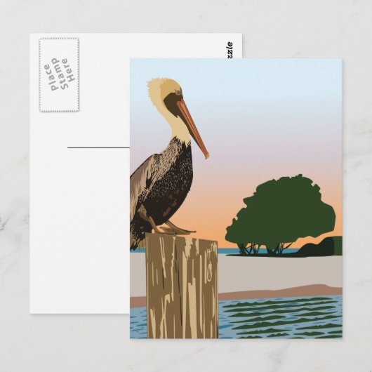 ペリカン ポストカード (正面/裏面)