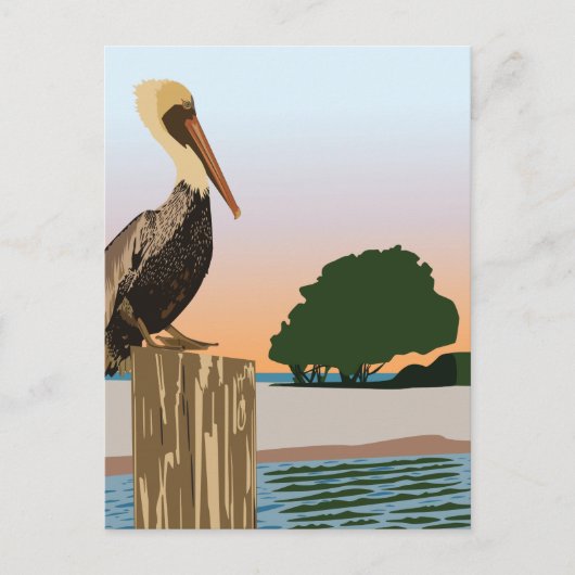 ペリカン ポストカード (正面)