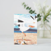 ペリカン ポストカード (スタンド正面)