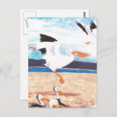 ペリカン ポストカード (正面/裏面)