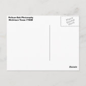 ペリカン ポストカード (裏面)